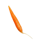 Carrot